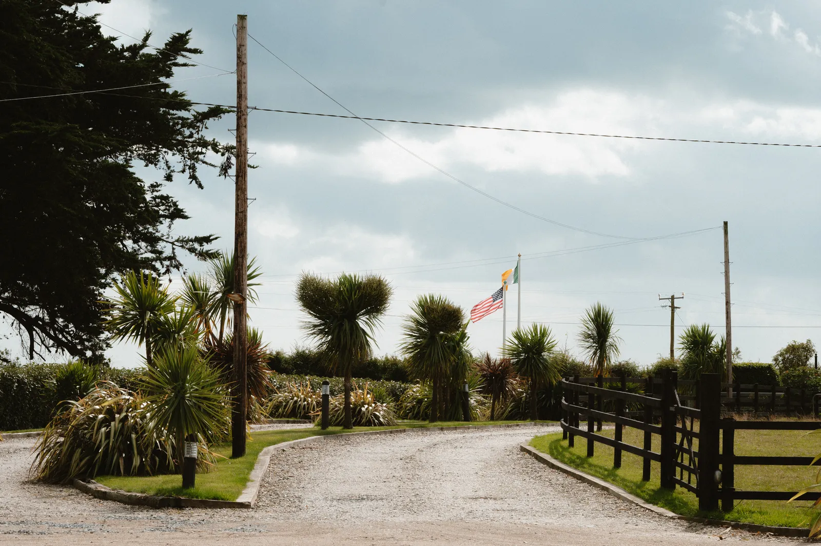 A gravel entrance drive curves past planted islands, flags and dark timber fencing at Segrave Barns.