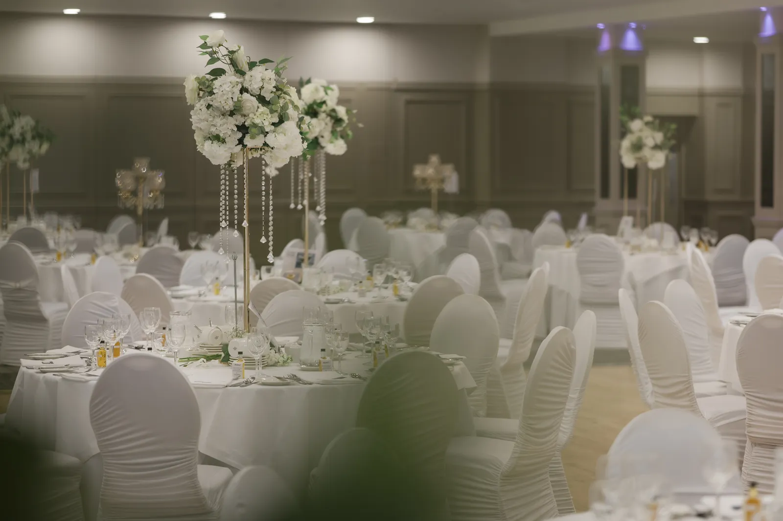 Wide view of the decorated reception room